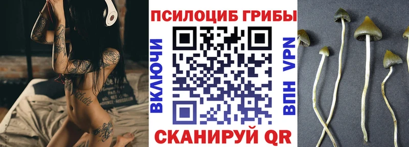 Псилоцибиновые грибы Cubensis  Советск 