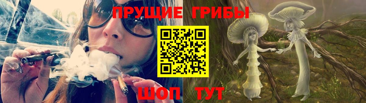 Псилоцибиновые грибы MAGIC MUSHROOMS  где продают   Советск  Галлюциногенные грибы Magic Shrooms  Вход с VPN 